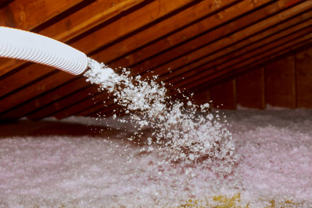 Best Geographic-Specific Insulation Services in Town N Country, FL