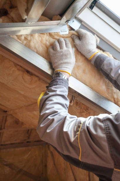 Best Eco-Friendly Insulation in Town N Country, FL