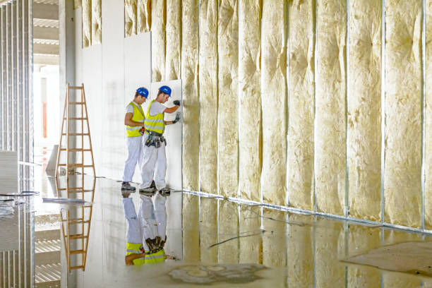 Best Spray Foam Insulation in Town N Country, FL